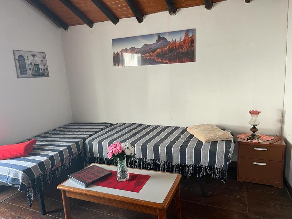 Casa En Teror Centrica Turismo De Ciudad Y Bosques Daire Dış mekan fotoğraf